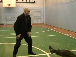 Обстоятельства футболки guf лиловые команды